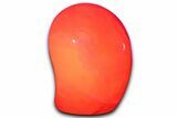 Free-Standing Polished Pink Manganoan Calcite - Fluorescent! #365839-1